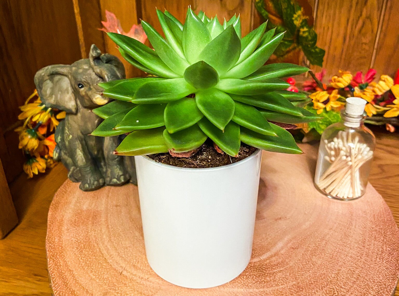 kerry bennett candle reuse jar for succulent pot